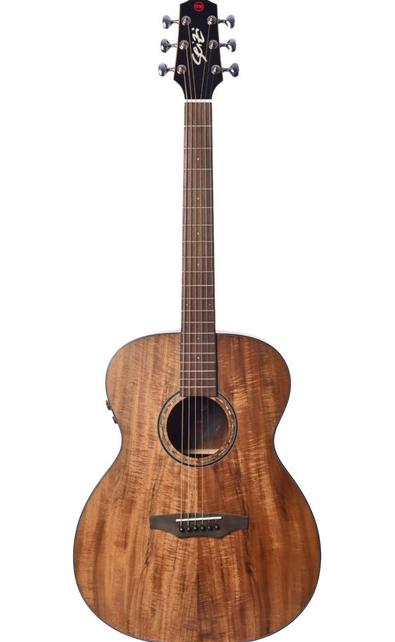 VIOLÃO SEIZI ELÉTRICO AÇO SUPREME FUJI MI...