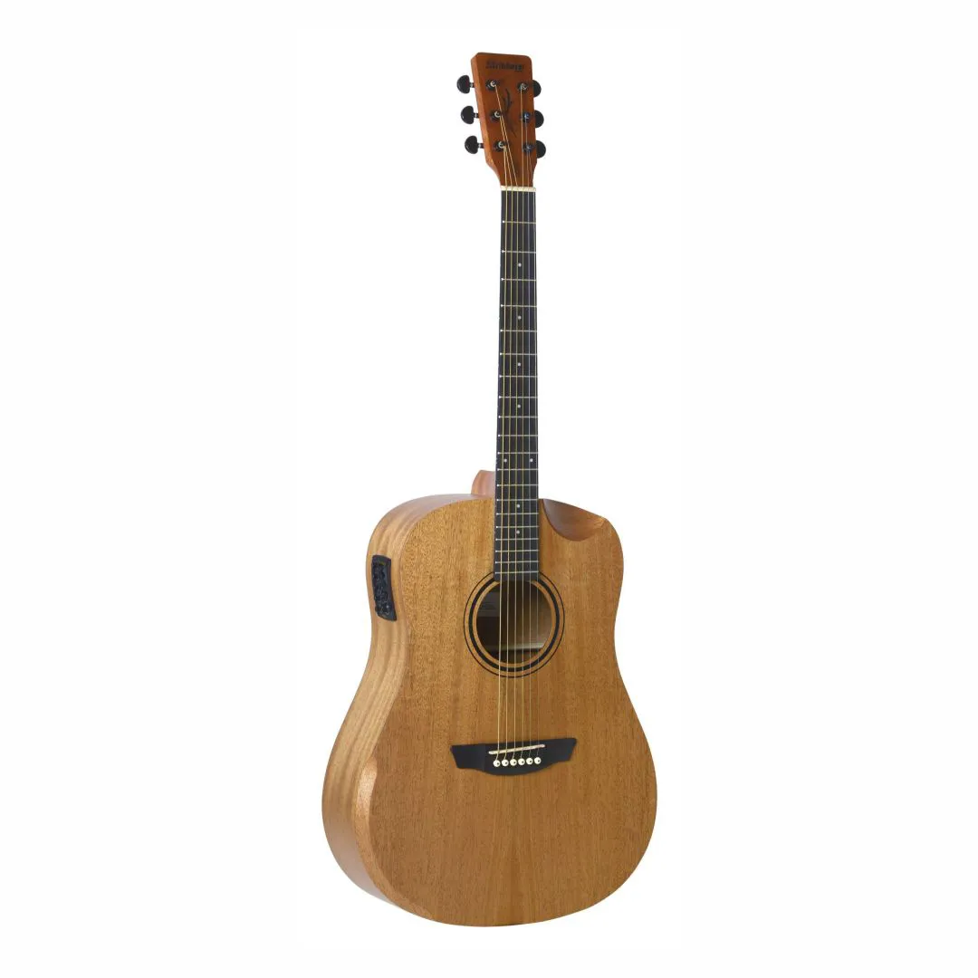 Violão Strinberg Elétrico Folk FS4D HCR MGS