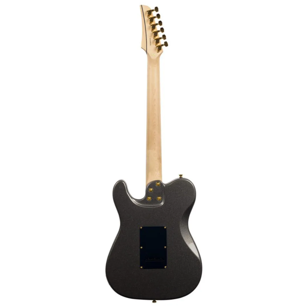 Guitarra Seizi Katana Kabuto TL Space Grey